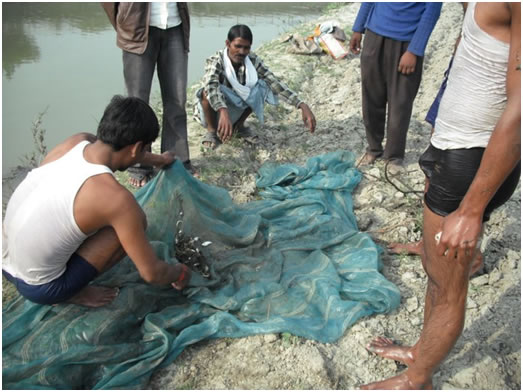 Protest against Poisioning in “SAI” river, Hardoi